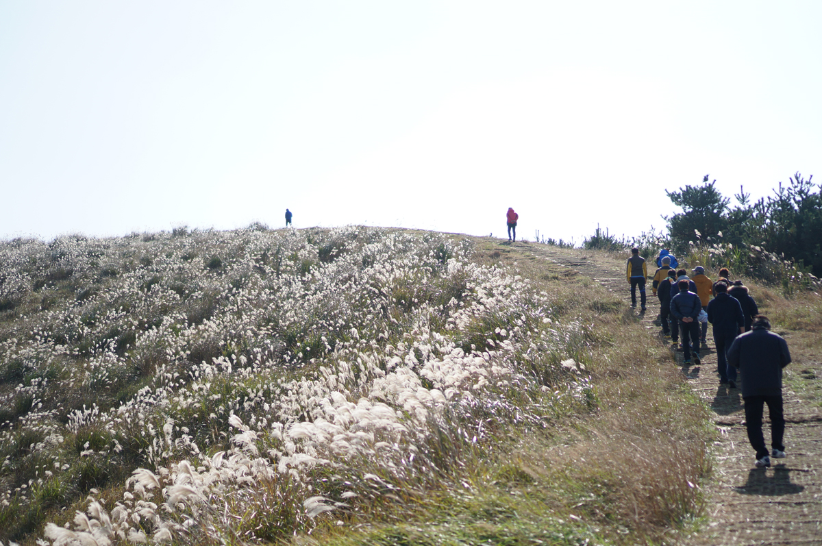 일사천리시스템 기업문화 걷기문화